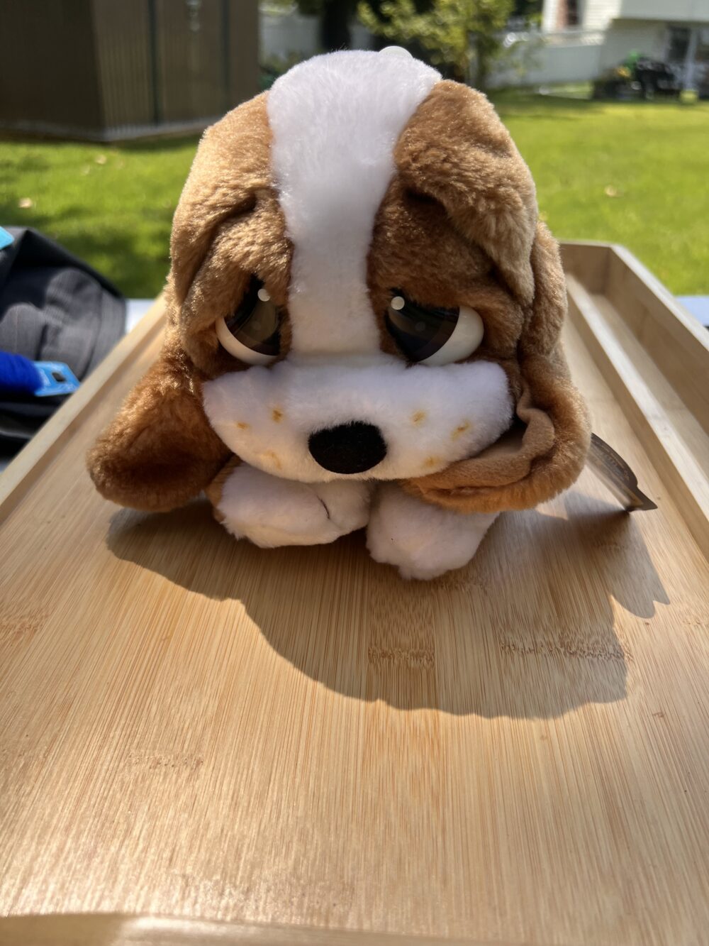 Aurora World Sad Sam Whimpers Soft & Snuggly Plush Stuffed Animal